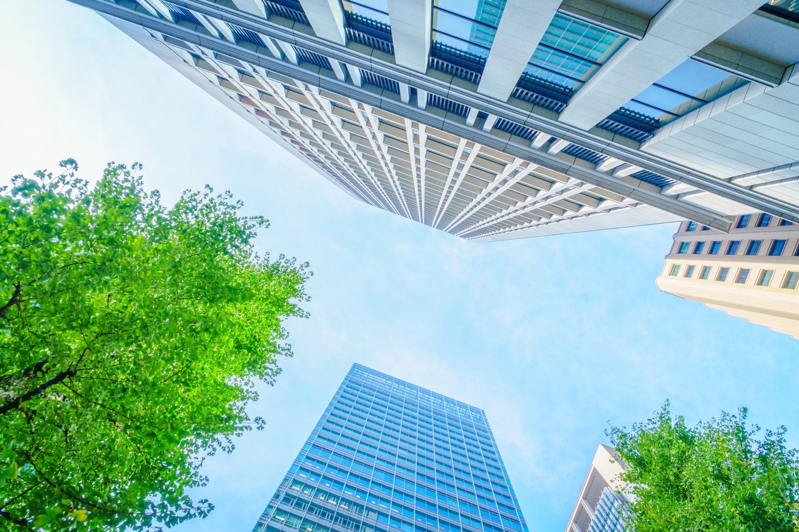 Architecture Overview